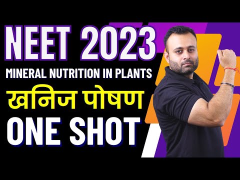 Mineral Nutrition In Plants One Shot NEET 2023 Khanij Poshan |  खनिज पोषण NEET Biology Preparation