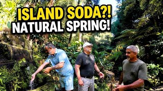 We Get to Call This Paradise Home! (Epic São Miguel Azores Vlog with U.S. Friends) #waterfall   