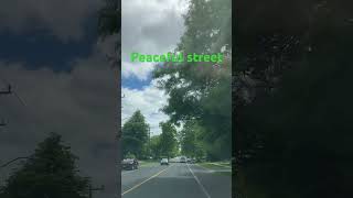 Peaceful street #toronto #canada #peaceful #street #nature