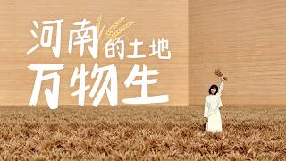 河南戲劇幻城 | 他們在麥田裡，等了你幾千年。| 都靓Amber