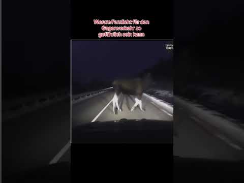 Was würdet ihr in dieser Situation machen? 😱 ##fahrlehrerlukas# #fahrschule