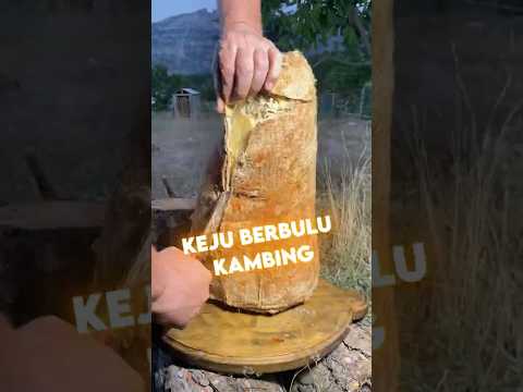 Makanan luar negeri ini tumbuh bulu hewan 🧀, apakah masih layak di makan 😋