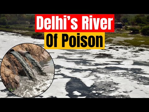 Can BJP Government Clean The Yamuna In 2 Years?| Delhi| Pollution| Environment| AAP
