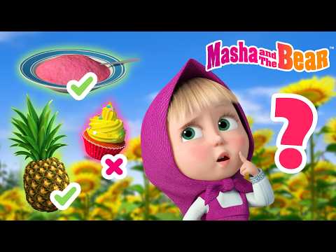 Masha and the Bear 2026 ๐ค Guess the FoodโBest episodes cartoon collection ๐ฌ