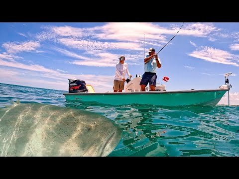 Guy's Fish was Under Attack, so I Jumped in the Water to Help