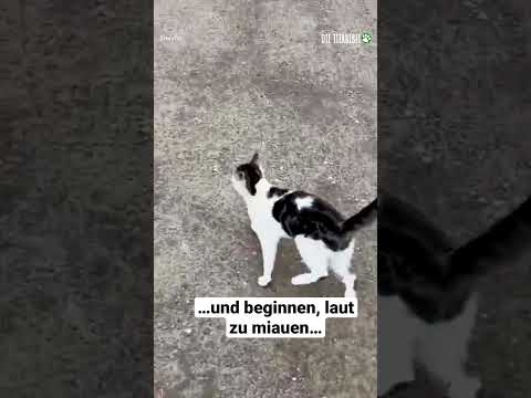 Hinreißende Überraschung🥰
