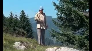 Die Schwarzwaldklinik Folge 25 Intrigen Ganze Folge