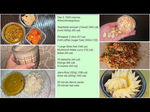 Day 2 of 1200 Calories Weight Loss Diet | What I eat in a day to lose weight | Indian Veg Diet