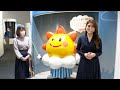 Japan Meteorological Agency Knowledge Assessment