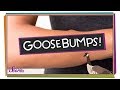 Understanding Goosebumps