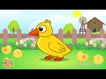 Animal Mention and Preference Analysis