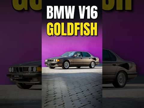 BMW V16 Goldfish!!