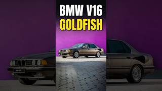 BMW V16 Goldfish!!
