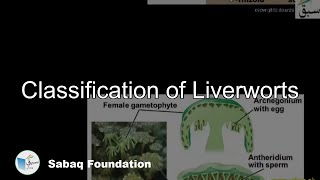 Classification of Liverworts