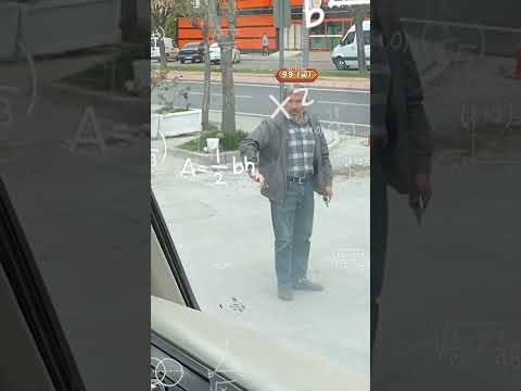 Dolmuş sürmek (lvl1 vs lvl99)