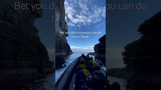 Exploring the #caves of the #TasmanPeninsula by boat. www.wildoceantasmania.com.au