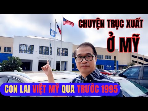 Nước Mắt Một Người Vô Gia Cư Con Lai Việt Mỹ Sắp Bị Trục Xuất