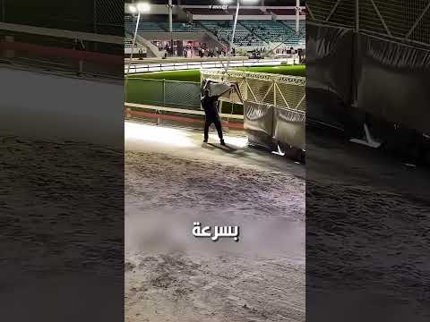 بكدا سباق الكلاب ينتهي🐕