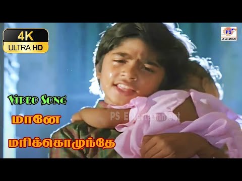 மானே மரிக்கொழுந்தே | Maane Marikozhundhe | Sad HD Song | K. S. Chithra | T. Rajendar |