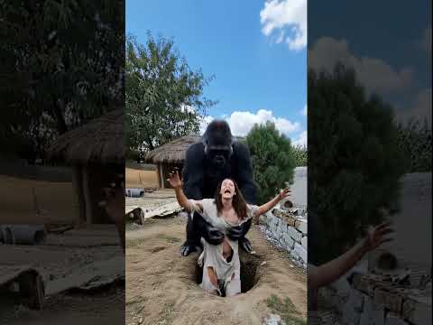 Salvou sua esposa de um gorila.