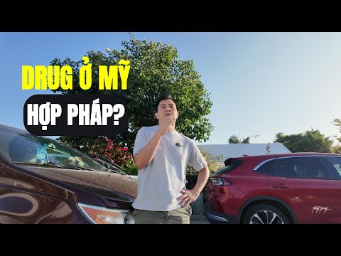 Mình ko bao giờ mua xe cũ trong Car Rental company!