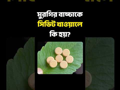 এটার কথা কোনো ডাক্তারও আপনাকে বলবে না #মুরগিপালন #farming #দেশিমুরগি