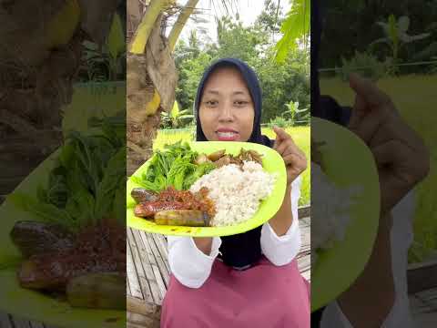 Makan  di sawah