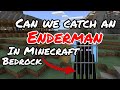 Capturing Endermen in Minecraft