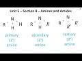 Understanding Amides and Amines