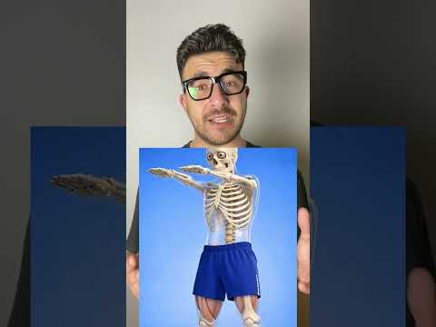 لو لعبت سكواد كل يوم