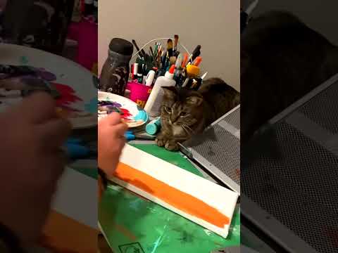 Мы с котярой ходим парой #смешно #юмор #кошки #cat #animals #кот #смешныекошки