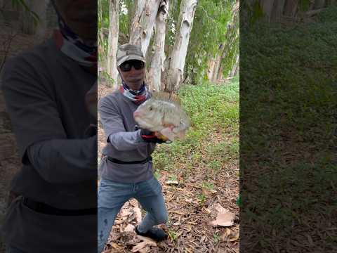 This brother is so good at catching fish.