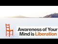 Mindfulness and Greed Concepts