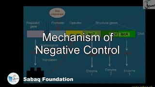Mechanism of Negative Control