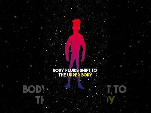 What Happens to the Body in Zero Gravity?