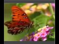 Honoring the Legacy of the Mirabal Sisters