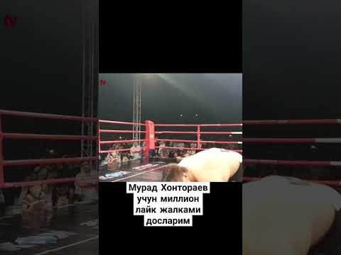 Мурад Хонтораев учун миллион лайк жалками досларим #murod #mma #mmanews #rek