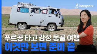 처음 가는 몽골 여행? 이것만 보면 준비 끝! 신혼여행도 몽골로 간 [리얼 몽골] 여행 작가가 한번에 정리해주는 몽골 여행 전 알아두면 좋은 꿀팁
