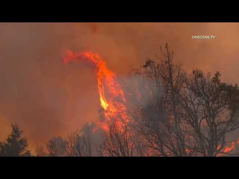 Line Fire Continues To Rage Towards Angelus Oaks