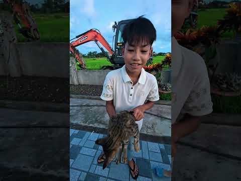 Hậu trường trẻ trâu hát : một con mèo - hài hước ! #shorts