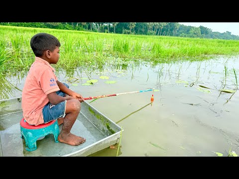 Best Hook Fishing✅ || The Village Boy Catching Fish With Fish Hook In Beautiful Nature || #fishing