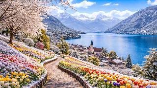 Rare Snowfall in Spring on Beautiful Swiss Village 🇨🇭 Weggis Switzerland 4K