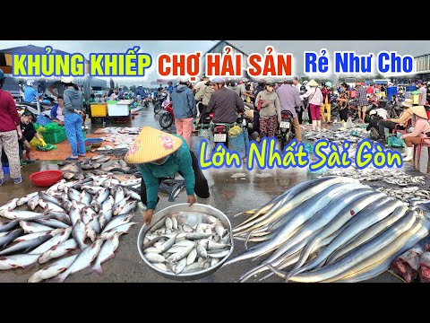 KHỦNG KHIẾP CHỢ CÁ, HẢI SẢN LỚN NHẤT SÀI GÒN GIÁ RẺ NHƯ CHO CHƯA TỪNG THẤY - CHỢ BÌNH ĐIỀN