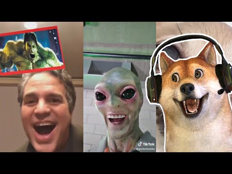 O MELHOR TENTE NÃO RIR de TODOS OS TEMPOS! (até agora) {VTuber}