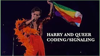 Harry Styles showing his queerness (a queer coding analysis)