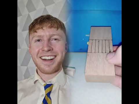 Different types of teachers part 2! #fyp #foryou #relate #HonkaiStarRail #StarRail #Bailu