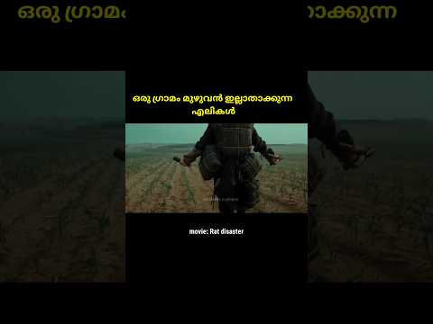 എലികൾ മനുഷ്യനെ ആക്രമിക്കാൻ തുടങ്ങിയാൽ