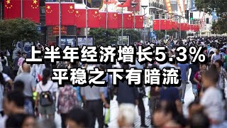 上半年经济增长5.3%，平稳之下有暗流.