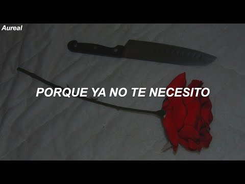 Halsey - killing boys (Traducida al Español)