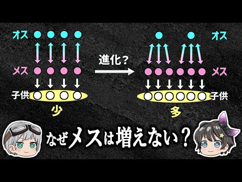 【ゆっくり解説】子孫を増やすならメスが多いほうがいいのではないか？－なぜ性別比は1:1なのか－